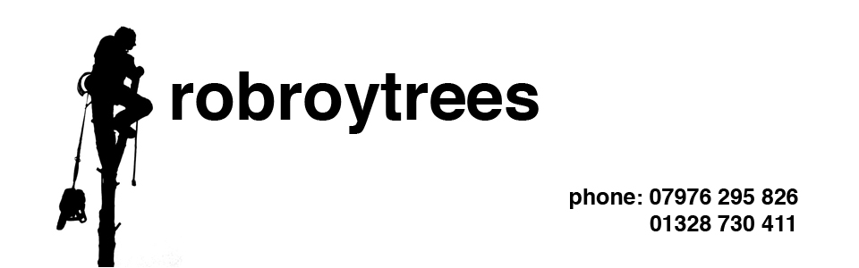 Rob Roy Trees